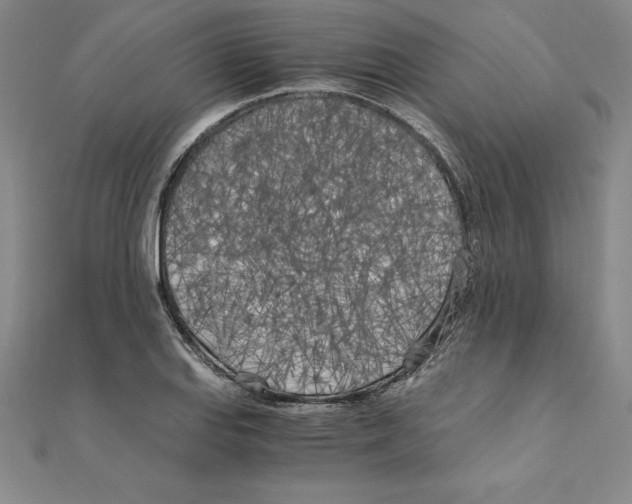 X0000110321127200906181818