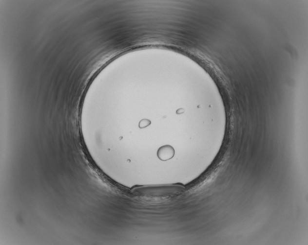 X0000110321129200906181818