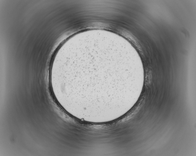 X0000110321130200906181818