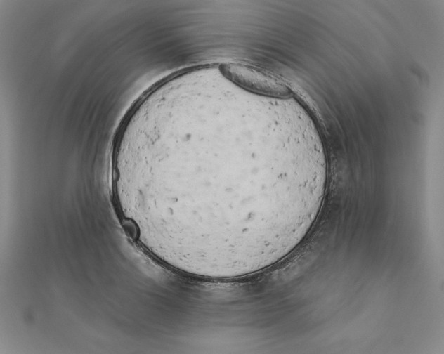 X0000110321132200906181818