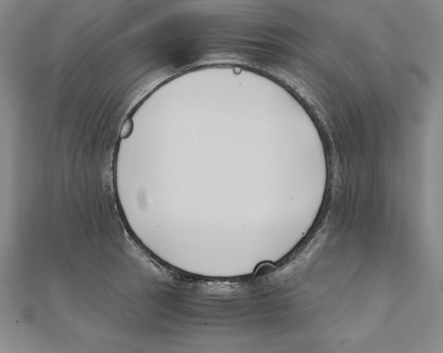 X0000110321137200906181818