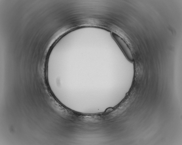 X0000110321138200906181818