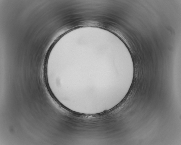 X0000110321139200906181818