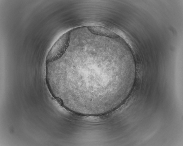 X0000110321140200906181818