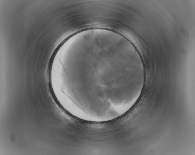 X0000110321141200906181818