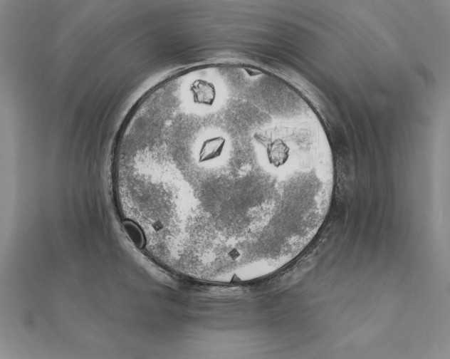 X0000110321142200906181818