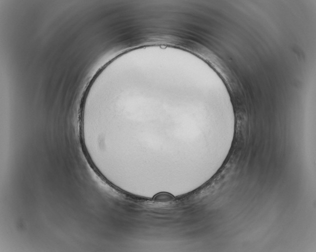 X0000110321143200906181818