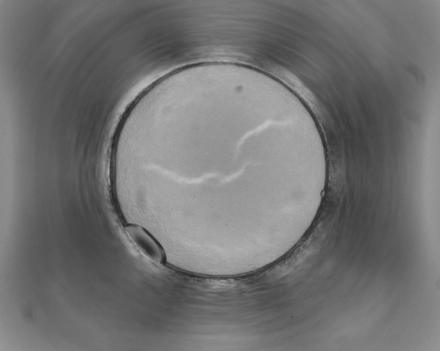 X0000110321144200906181818