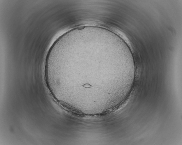 X0000110321146200906181818