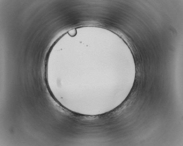 X0000110321147200906181818