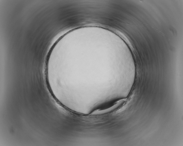 X0000110321149200906181818