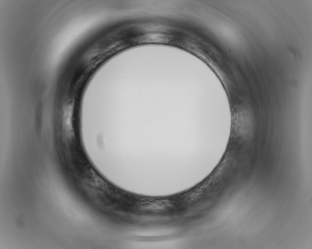 X0000110321150200906181818