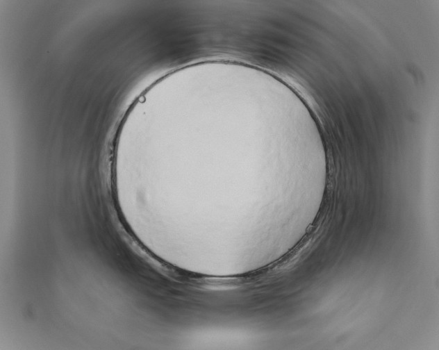 X0000110321151200906181818