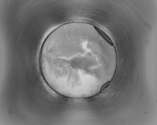 X0000110321152200906181818