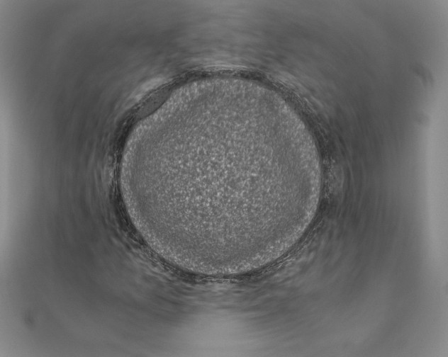 X0000110321157200906181817