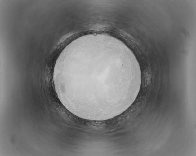 X0000110321158200906181817