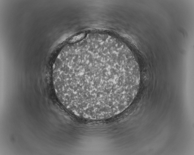 X0000110321159200906181817