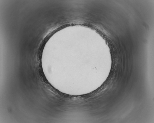 X0000110321160200906181817