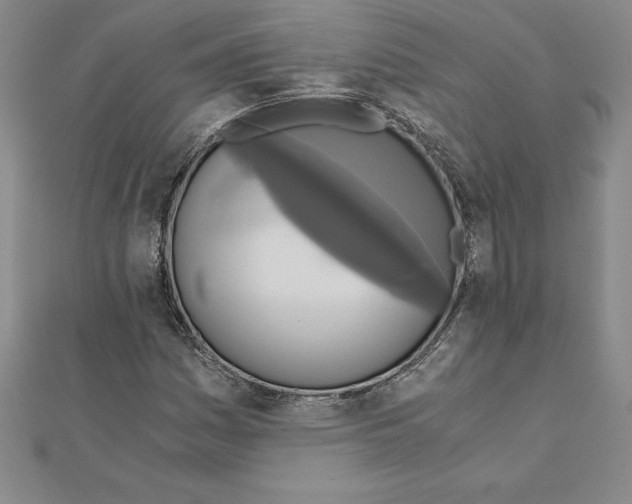 X0000110321161200906181817