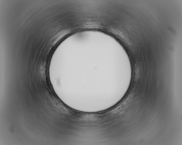 X0000110321162200906181817