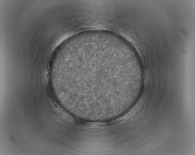 X0000110321163200906181817