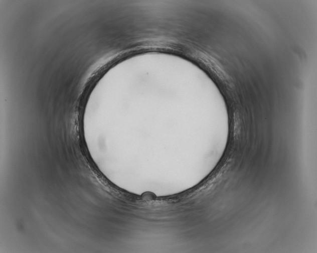 X0000110321164200906181817