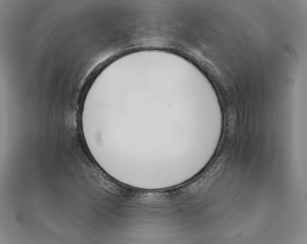 X0000110321166200906181817