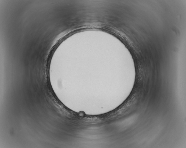 X0000110321168200906181817