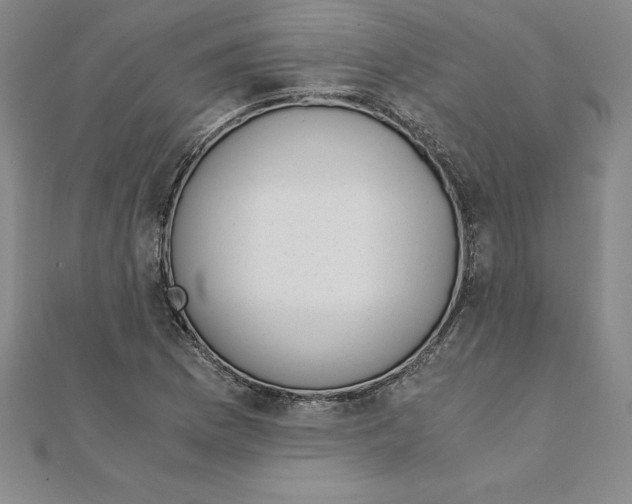 X0000110321169200906181817