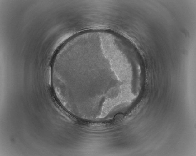 X0000110321171200906181817