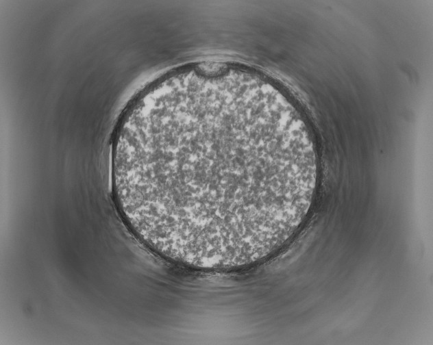 X0000110321175200906181817