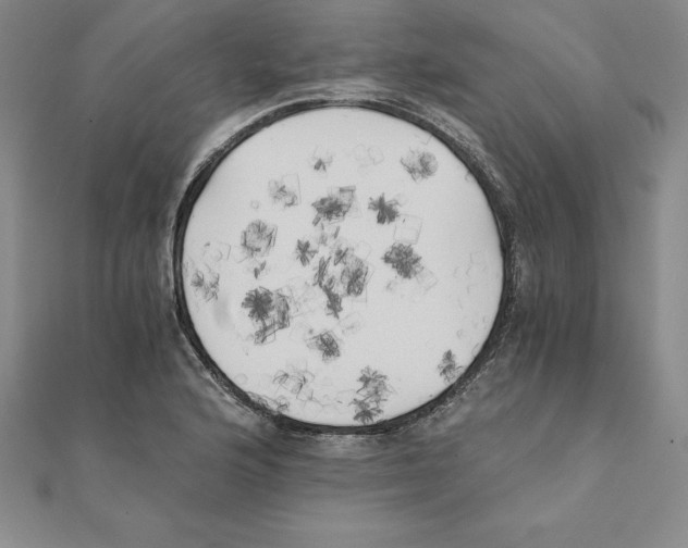 X0000110321176200906181817