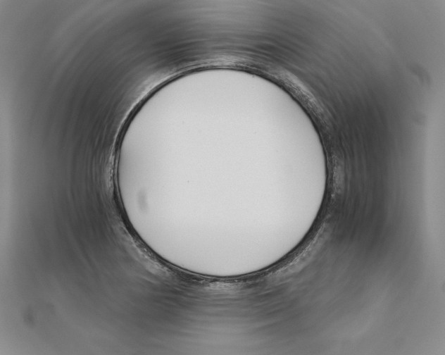 X0000110321178200906181817