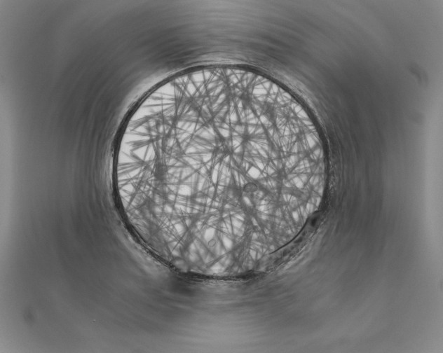 X0000110321179200906181817