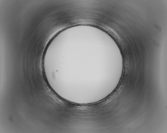 X0000110321182200906181817