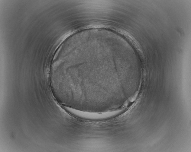 X0000110321185200906181817