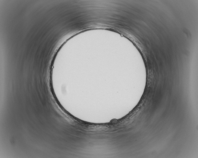 X0000110321187200906181817