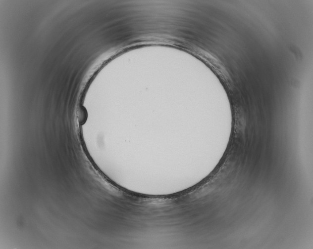 X0000110321188200906181817