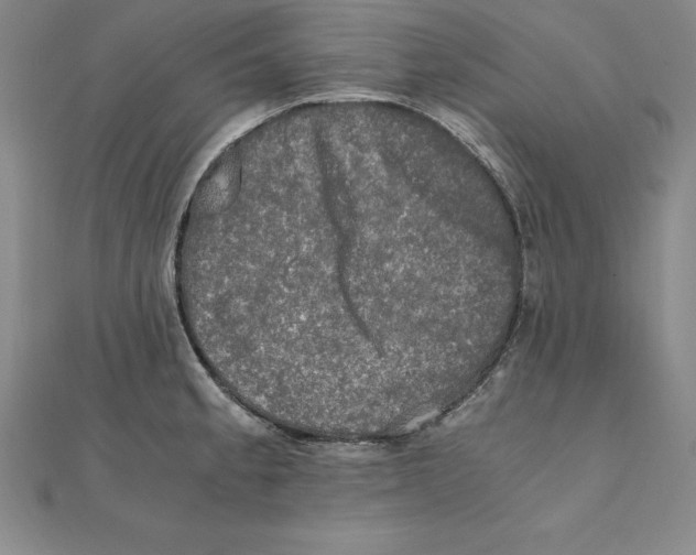 X0000110321189200906181817