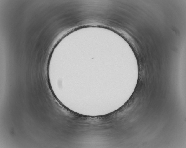 X0000110321191200906181817