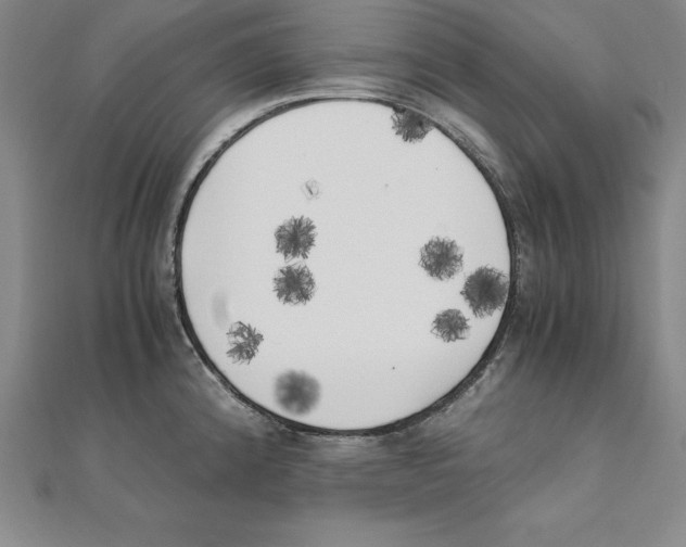 X0000110321192200906181817