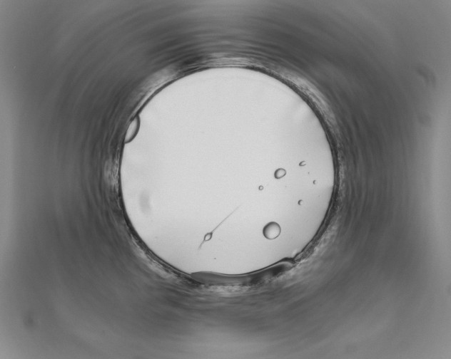 X0000110321193200906181817