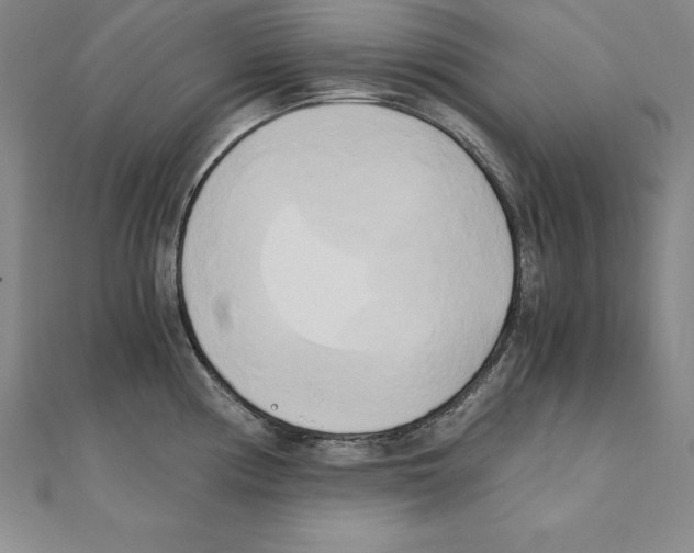 X0000110321194200906181817