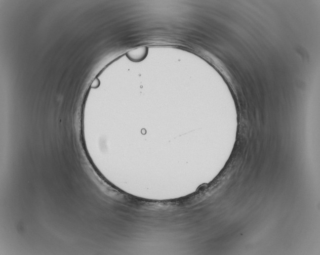 X0000110321195200906181817