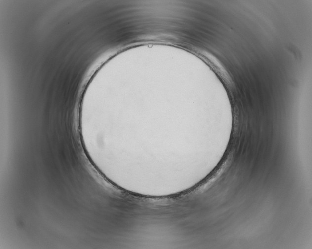 X0000110321196200906181817