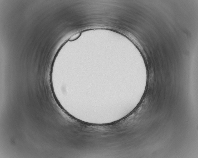 X0000110321197200906181817