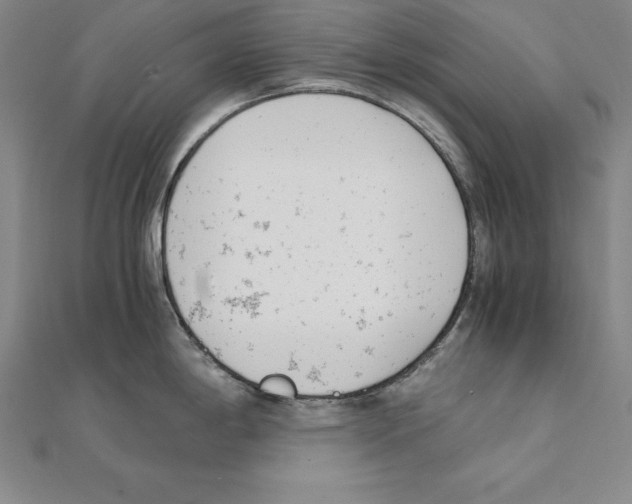 X0000110321198200906181817