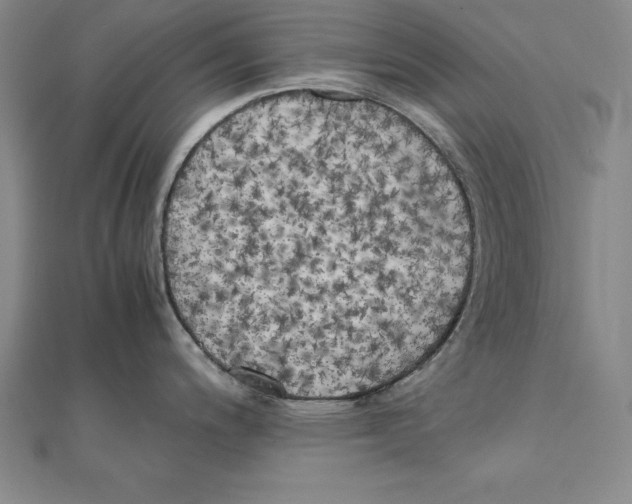 X0000110321200200906181817