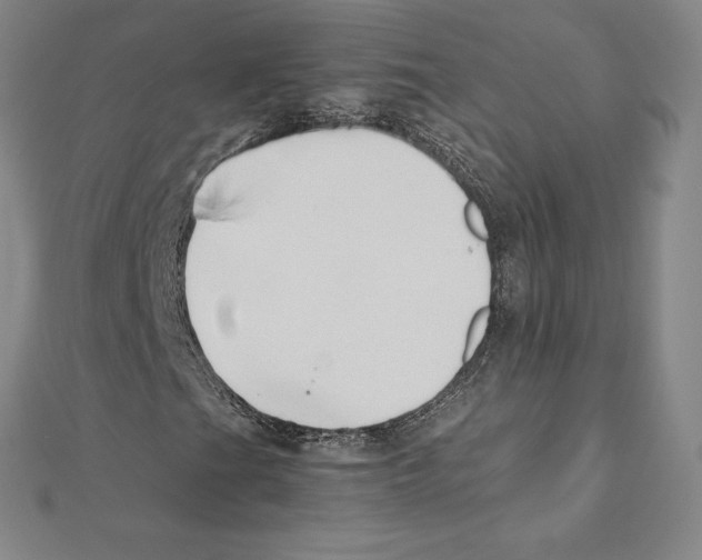 X0000110321201200906181816