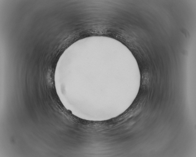 X0000110321202200906181816